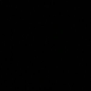 Meet your Posher, Gabby